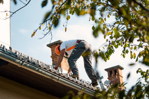 Best Flat Roof Repair Services  in Wchester, IN